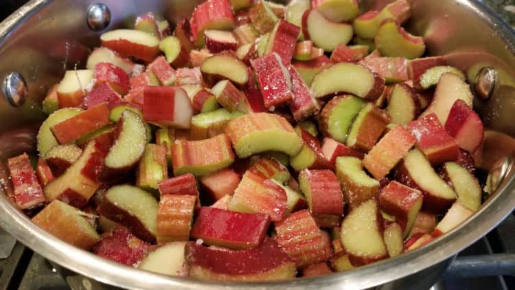 easy rhubarb recipes