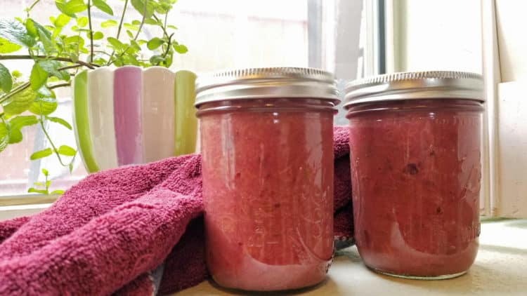 easy rhubarb recipes rhubarb sauce