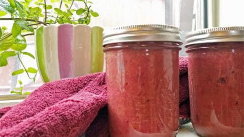 easy rhubarb recipes
