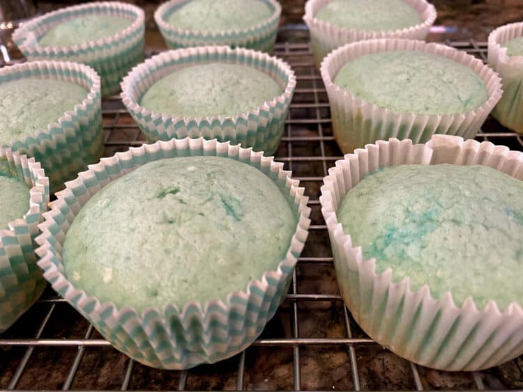 blue jell-o cupcake recipe
