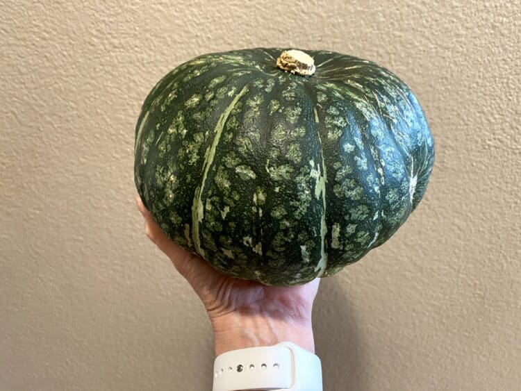 whole kabocha squash