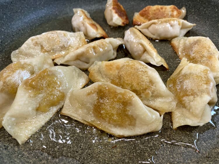 pan fried dumplings