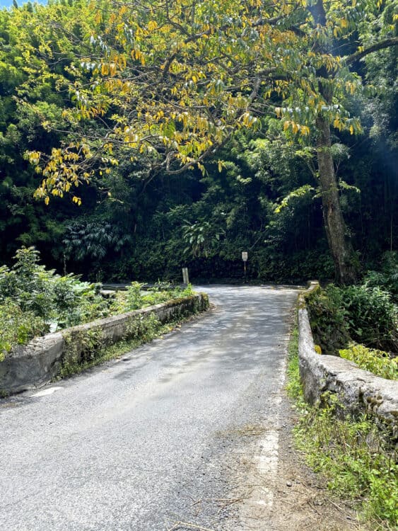 one lane bridge on road to Hana