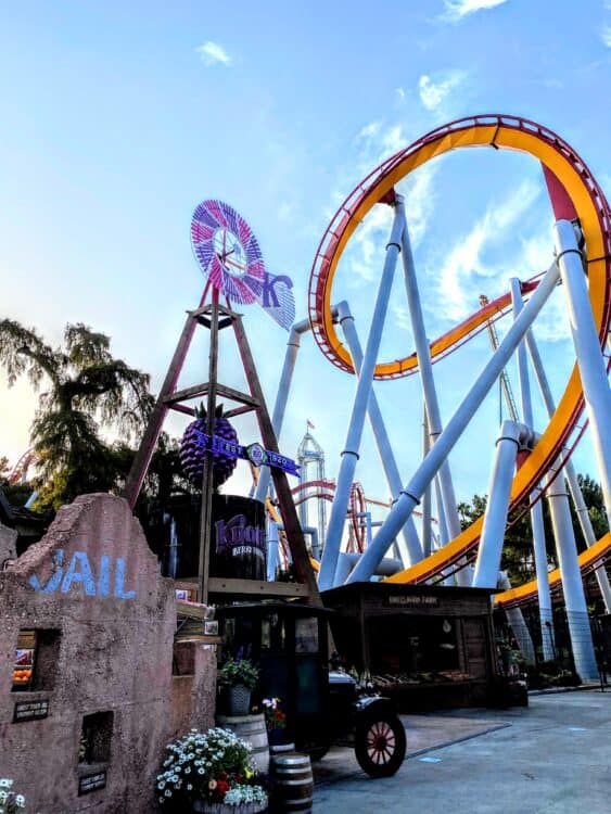 knott's 100 boysenberry foods fun