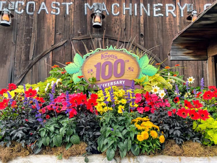 knotts 100 fun boysenberry food