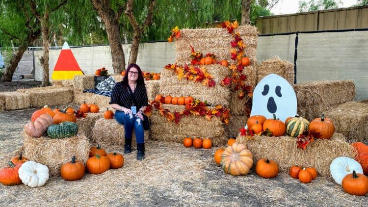 pumpkin patch at Temecula terror