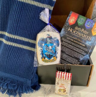 team Ravenclaw for Hogwarts tournament of houses