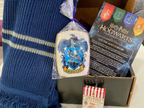 team Ravenclaw for Hogwarts tournament of houses