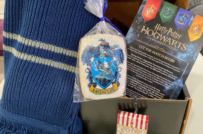 team Ravenclaw for Hogwarts tournament of houses