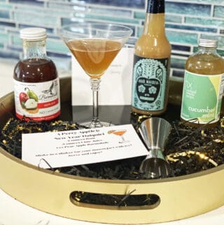 gin cocktail kit