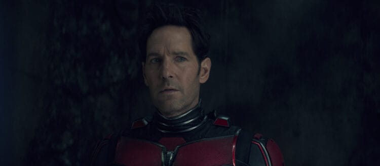 Paul Rudd in ant-man and the wasp: quantumania