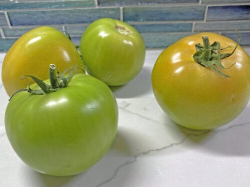 can fried green tomatoes be eaten raw?