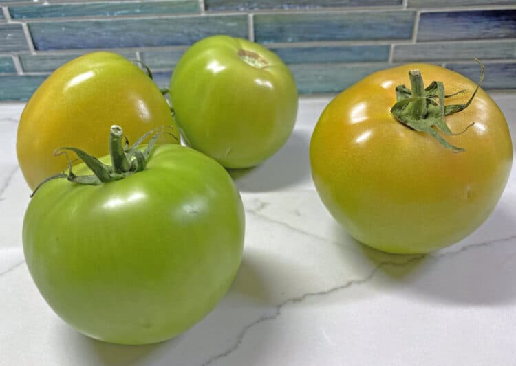 can fried green tomatoes be eaten raw?