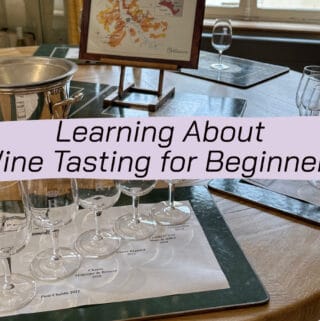 learning about wine tasting for beginners and beginner wine tasting