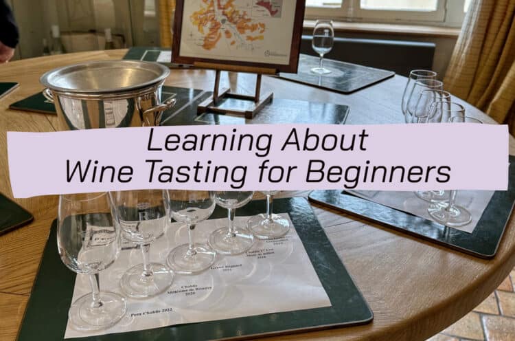 learning about wine tasting for beginners and beginner wine tasting