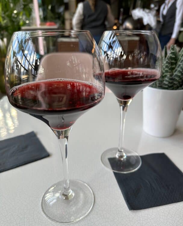 red wine in glasses for wine terminology for beginners