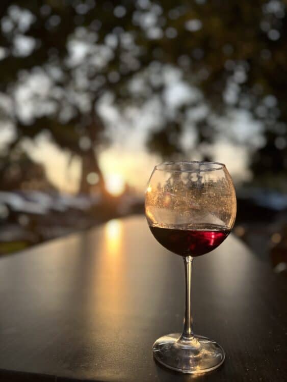 red wine in a glass at a winery