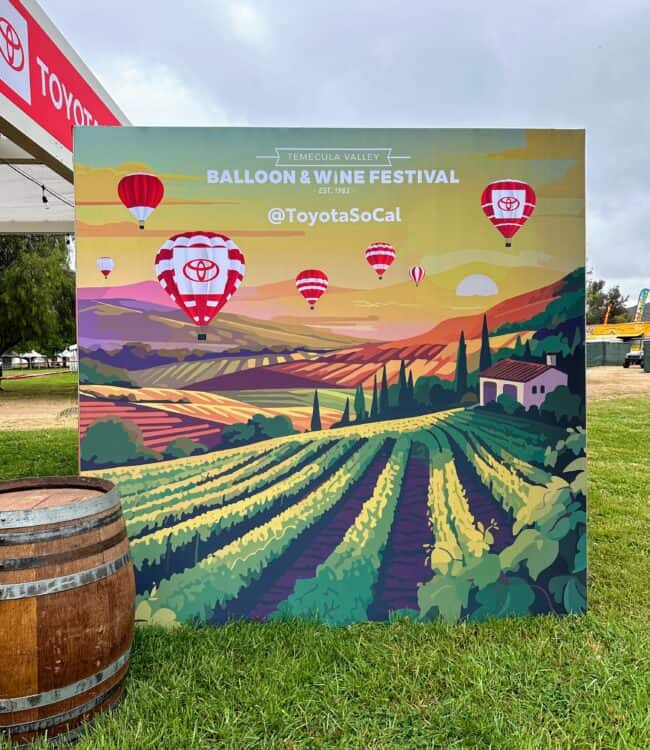 wine festival at the Temecula Balloon and Wine Festival 2024
