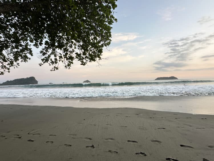 buena vista restaurant at manuel antonio beach in costa rica