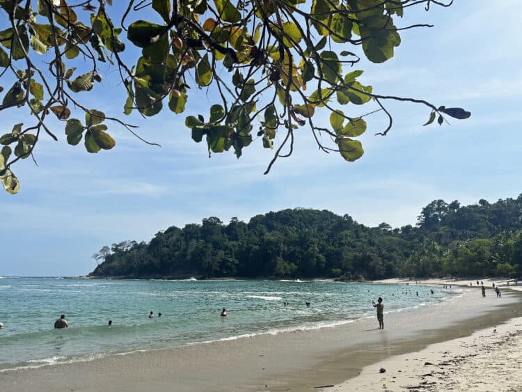 the beach at manuel antonio national park