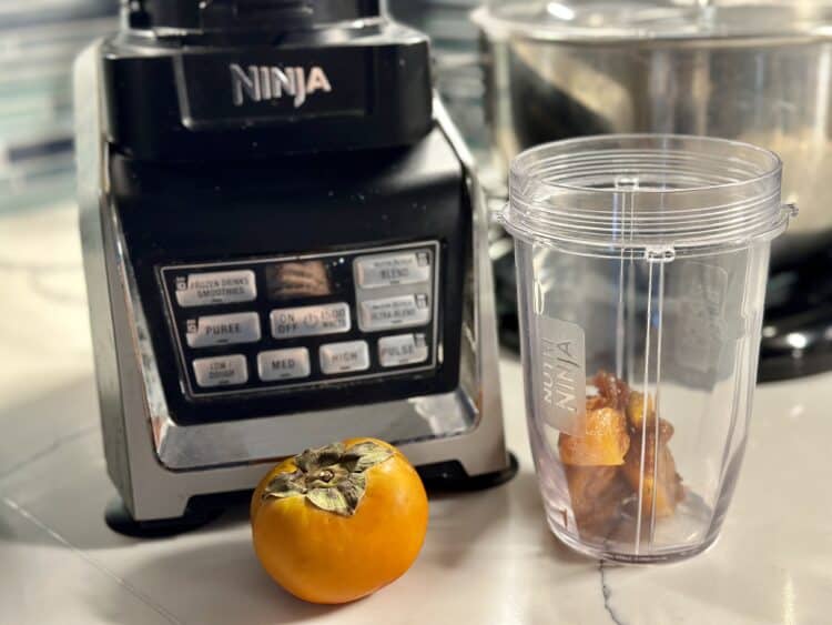 making persimmon puree with a Ninja blender