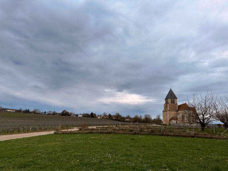 day trips from paris to the france wine region of chablis