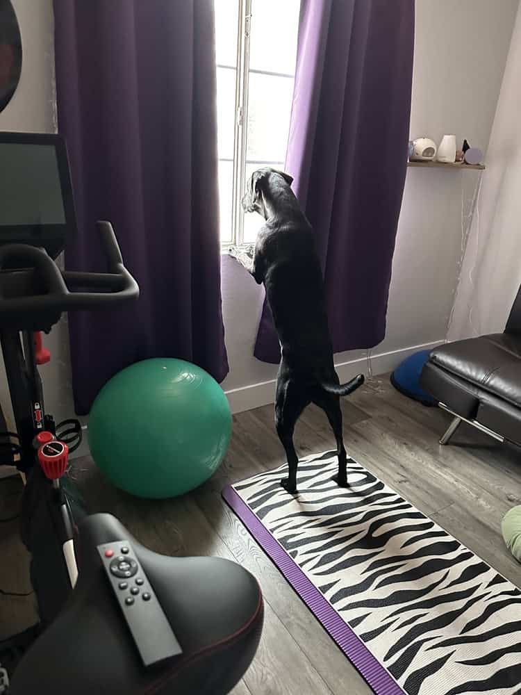 yoga and wellness