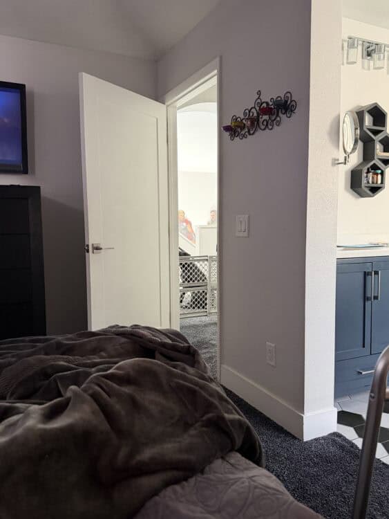 view from my room the first morning at home after spinal surgery, dogs in the background