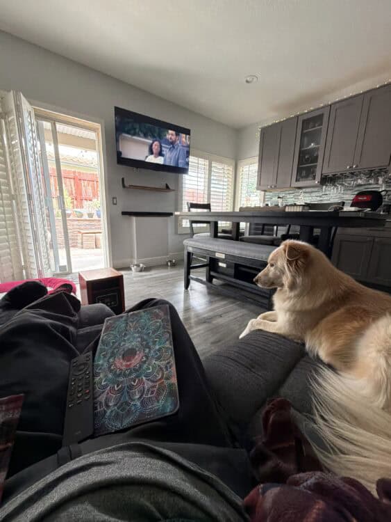 my view from the recliner and dog, watching tv while recuperating from back surgery