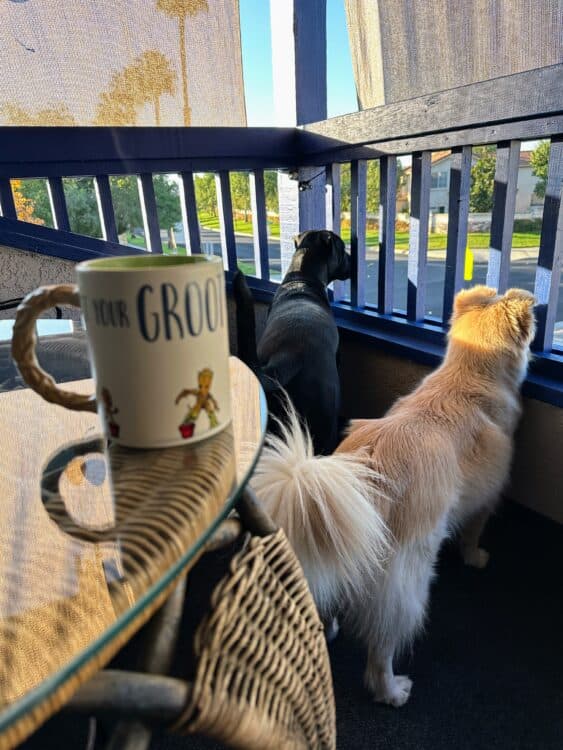 Retiring Early Tips: Here's How My First Weeks of Early Retirement Went