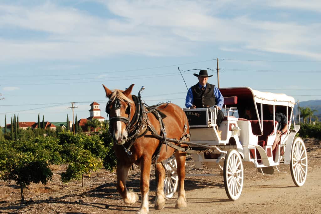 temecula