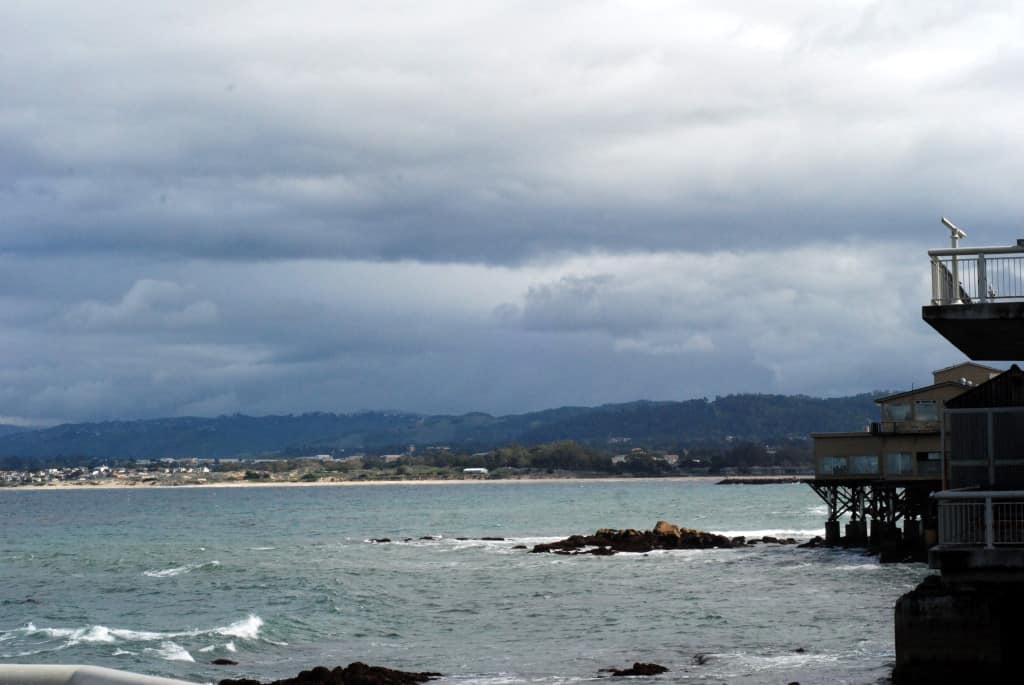 Finding Dory at the Monterey Bay Aquarium