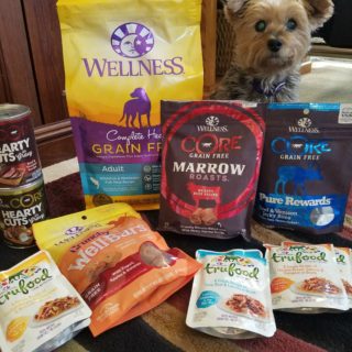wellness dog food