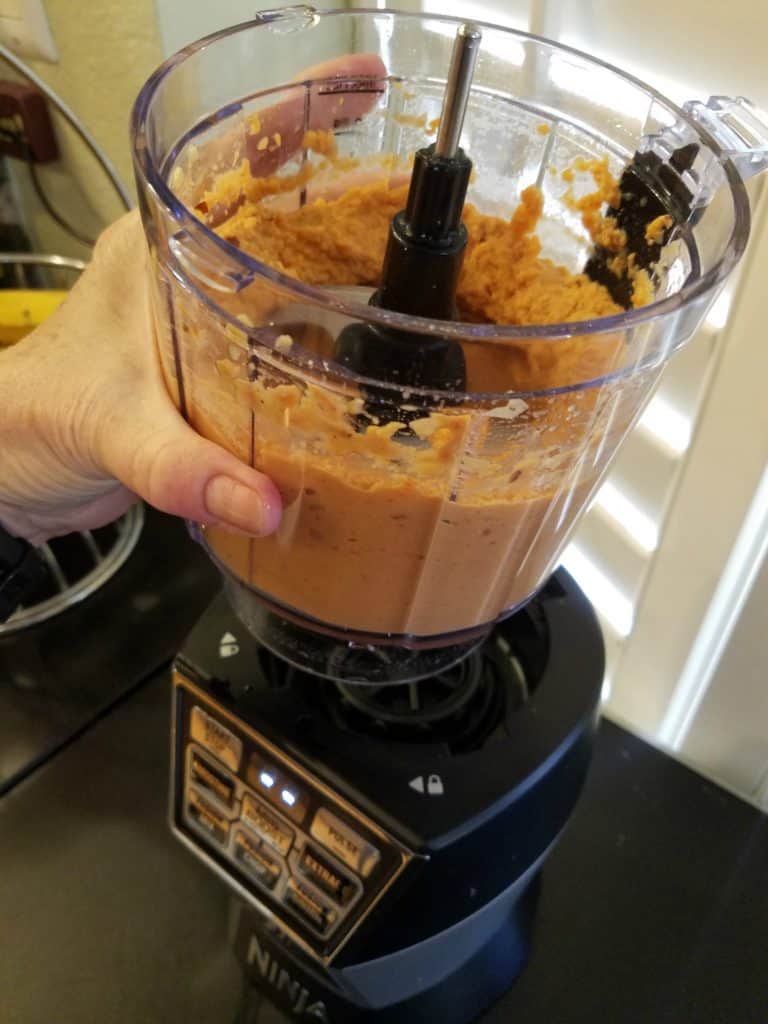 Easy Healthy Recipes for the Busy Holiday Season Using My Ninja Duo