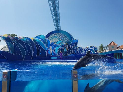 seaworld19