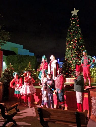 Celebrating Christmas at Sea World