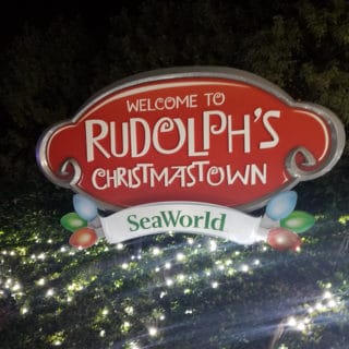 Celebrating Christmas at Sea World