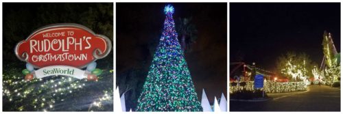 Celebrating Christmas at Sea World