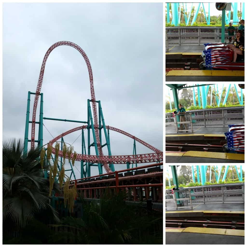 xcelerator